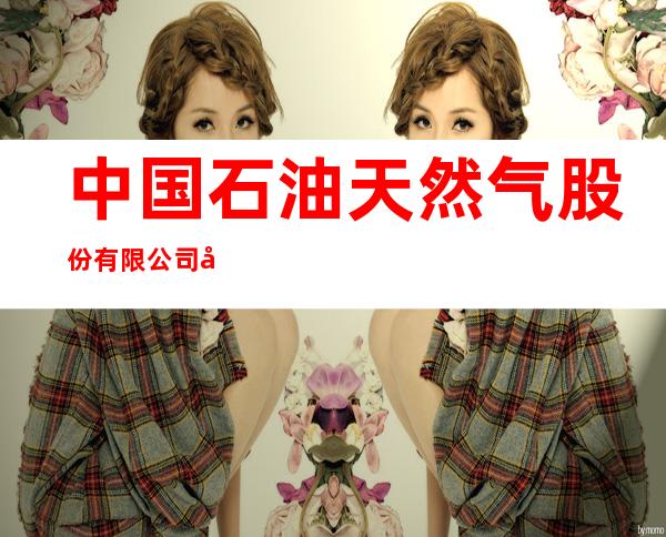 中国石油天然气股份有限公司内蒙古通辽销售分公司铁南加油站