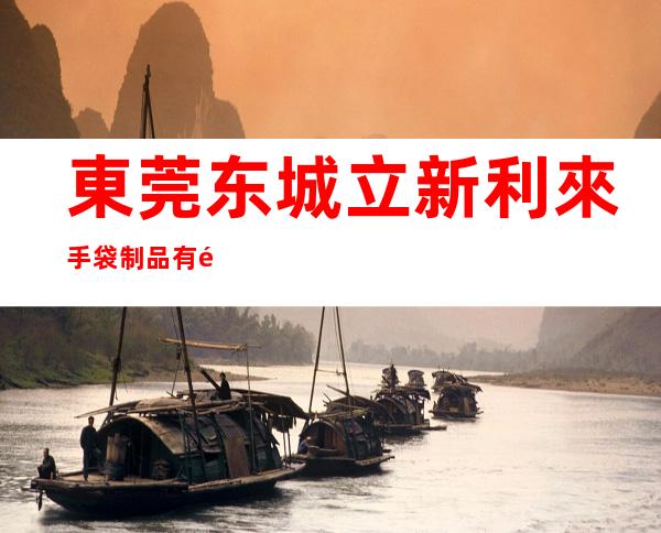 東莞东城立新利來手袋制品有限公司