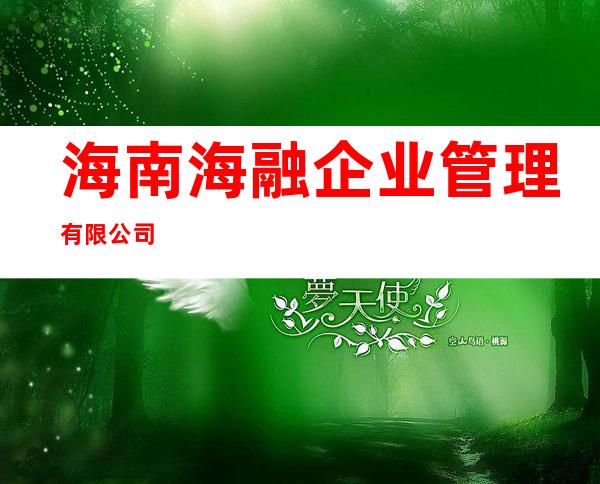 海南海融企业管理有限公司