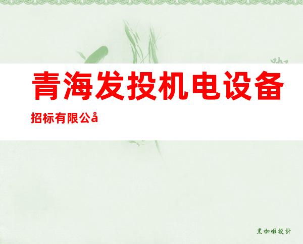 青海发投机电设备招标有限公司